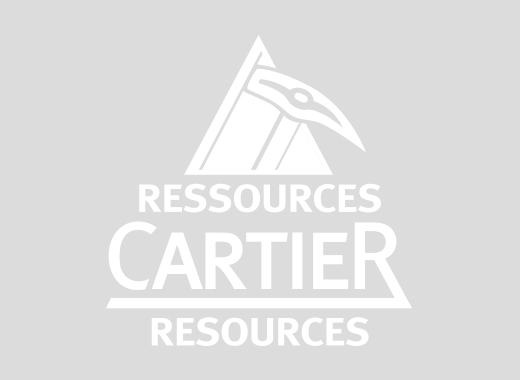 cartier resources stock